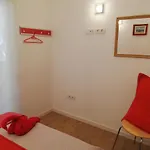 Chajofe 8 * Los Cristianos (Tenerife)