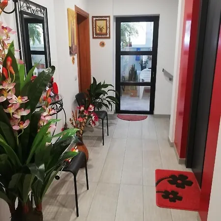 Chajofe 8 Apartament *